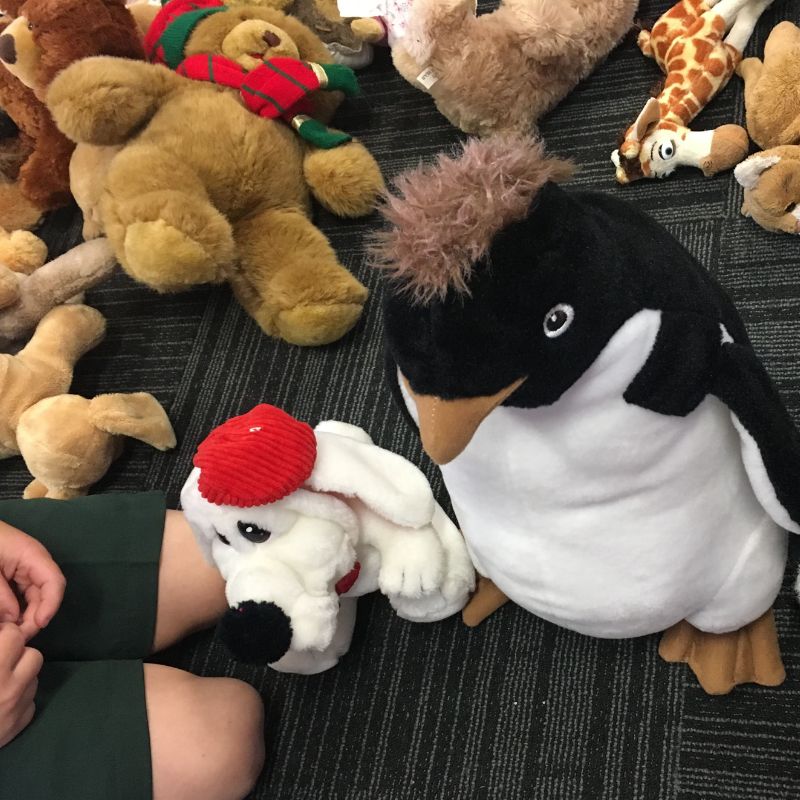 Using Stuffed Animals as Manipulatives